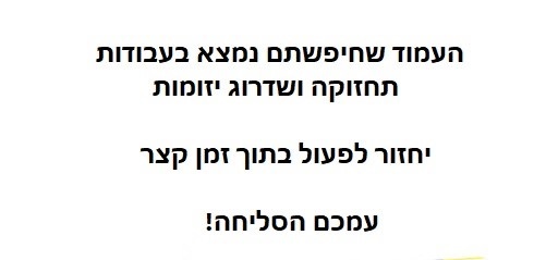 העמוד נמצא תחת תחזוקה